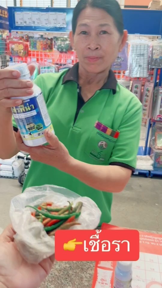 โฟรฟีน่า หมอยารักษาโรค